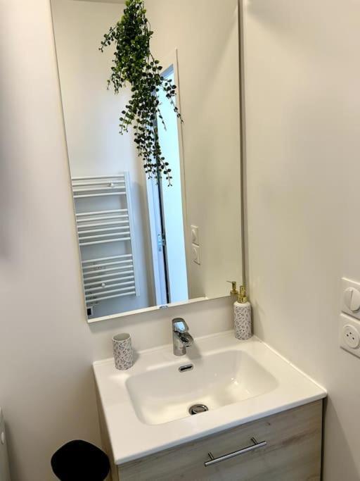 Apartmán Le Romy Toulouse Exteriér fotografie